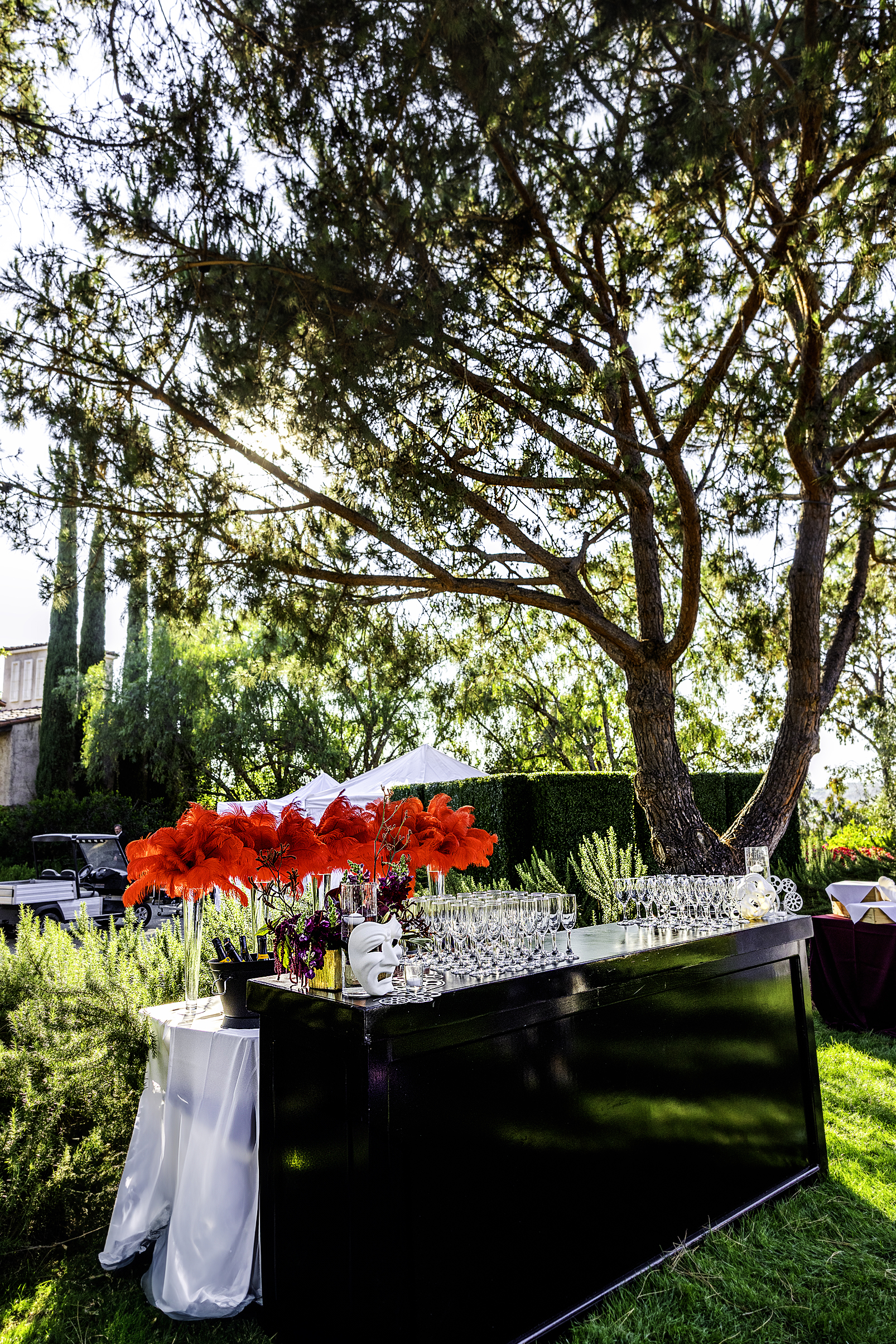 FangtingPhotography SanDiegoBestEventPhotographer 0973