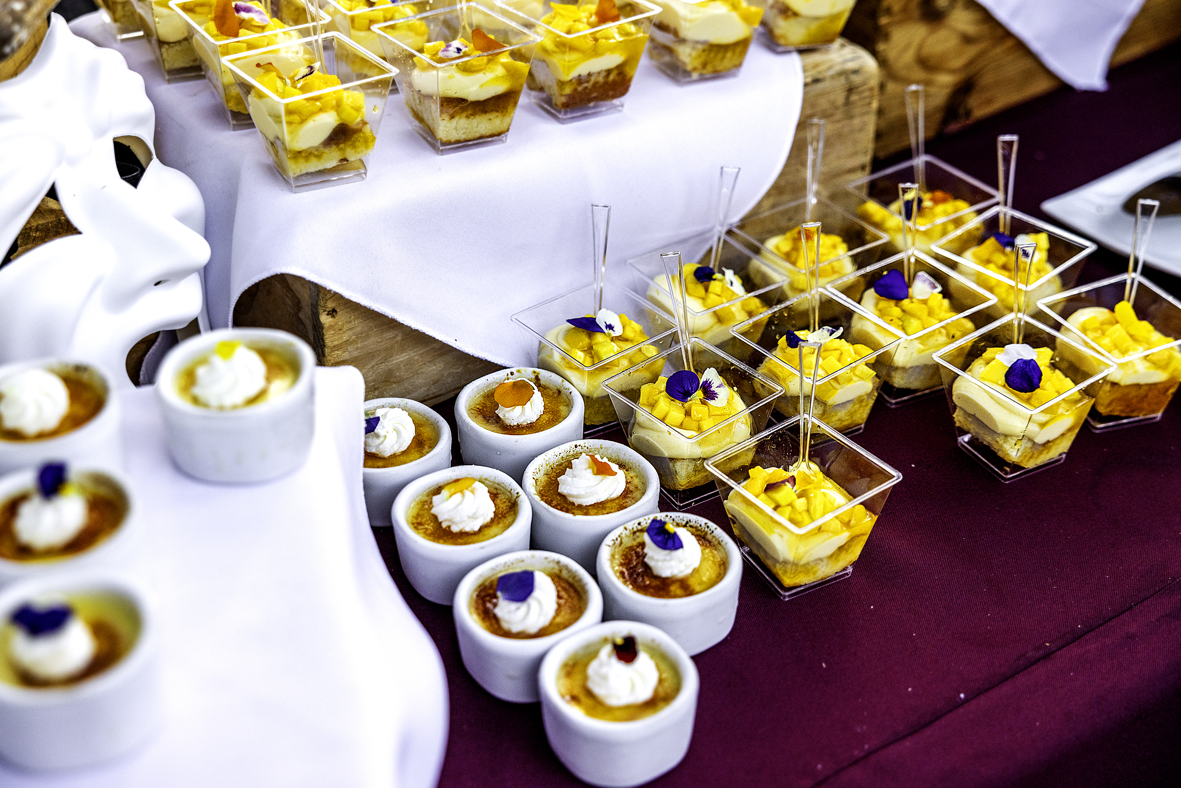 FangtingPhotography SanDiegoBestEventPhotographer 1292