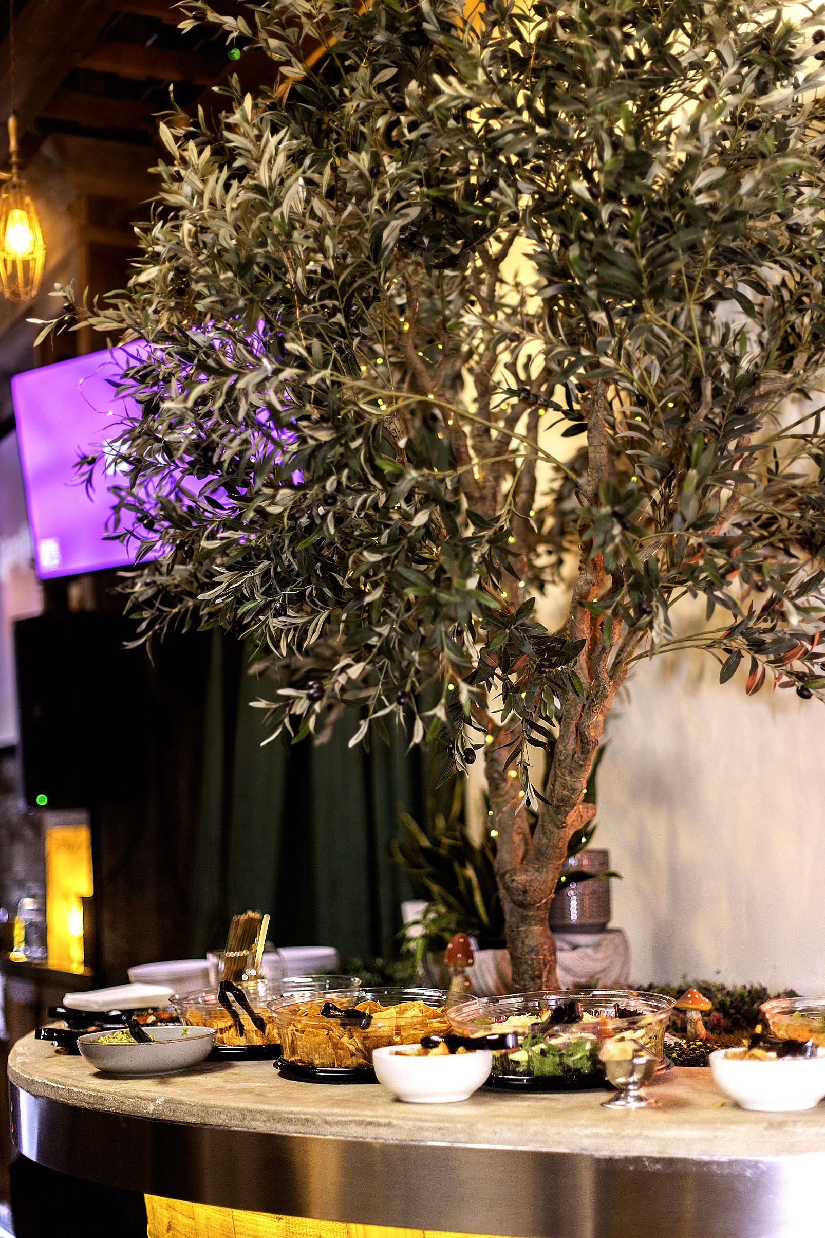 FangtingPhotography SanDiegoBestEventPhotographer 7911