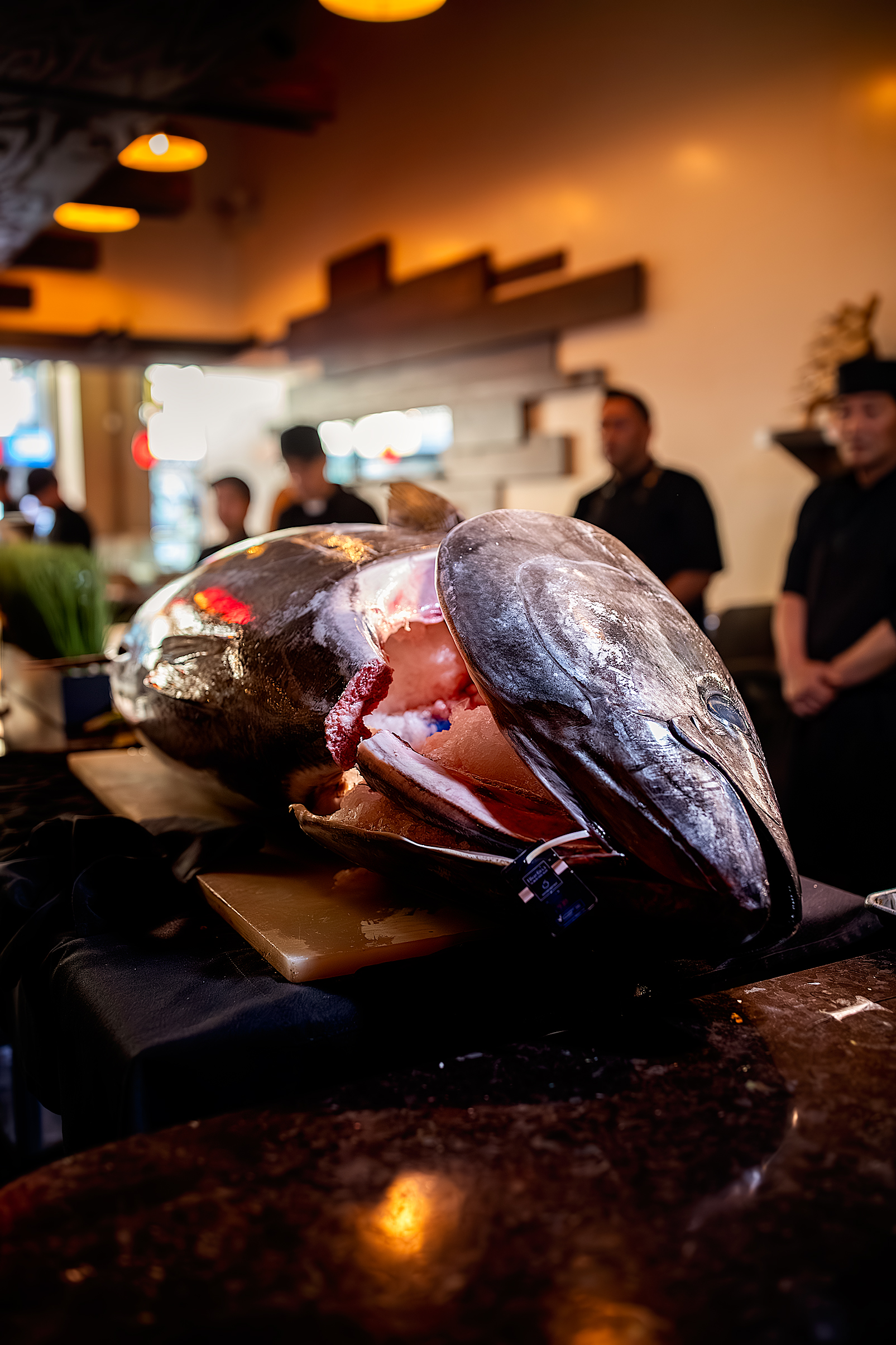 FangtingPhotography SanDiegoBestEventPhotographer 0653