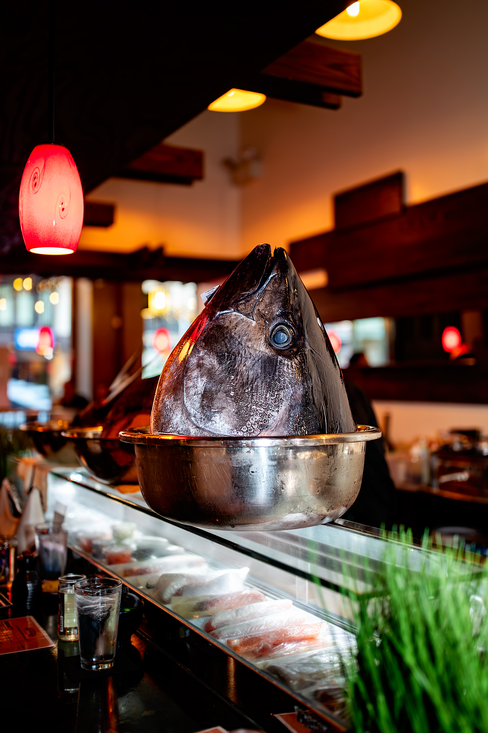 FangtingPhotography SanDiegoBestEventPhotographer 0681